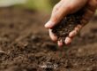 dłoń trzymająca grunt